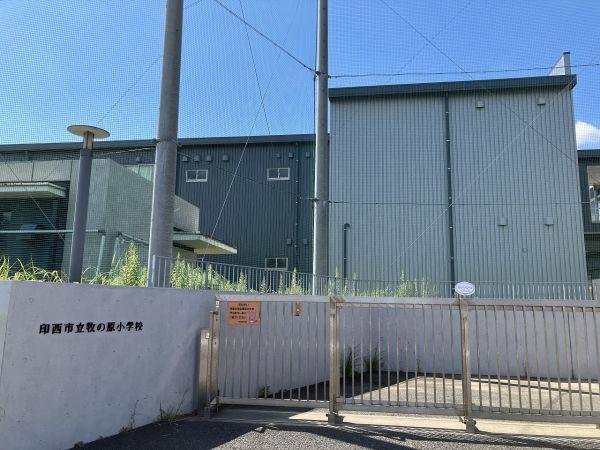 牧の原小學校 400m 寫真撮影日：2024-09-15