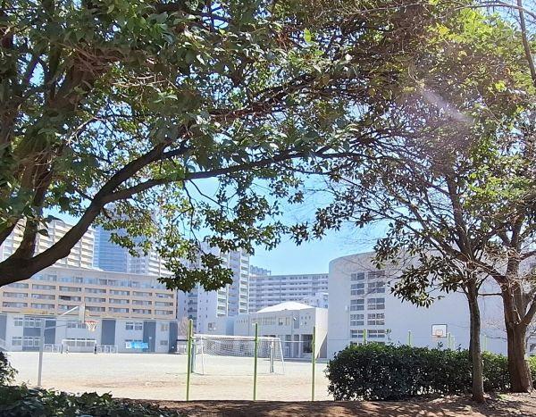 打瀬小學校 50m 寫真撮影日：2025-03-23