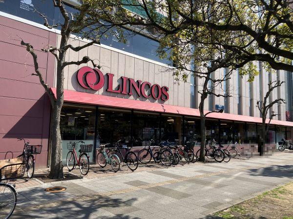 リンコスベイタウン店 510m 寫真撮影日：2025-03-23