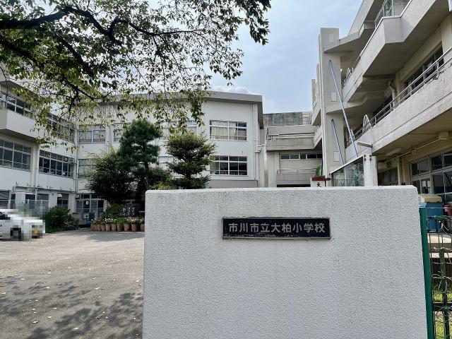 大柏小學校 350m 寫真撮影日：2025-08-28