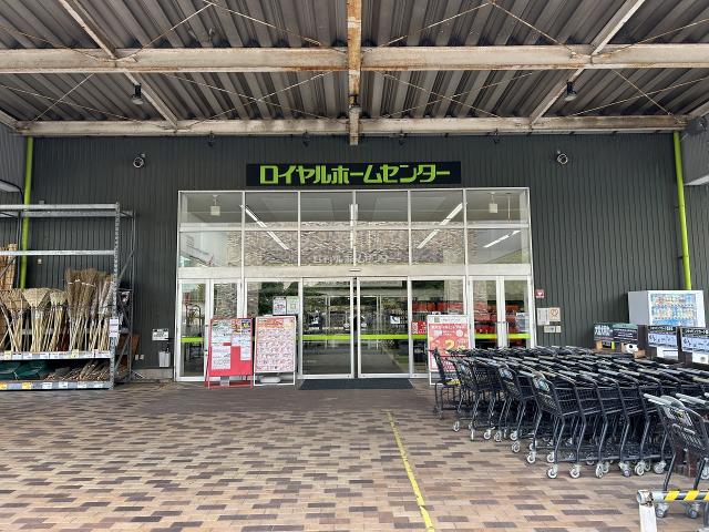 ロイヤルホームセンター 習(xí)志野 1900m 寫真撮影日：2025-10-20