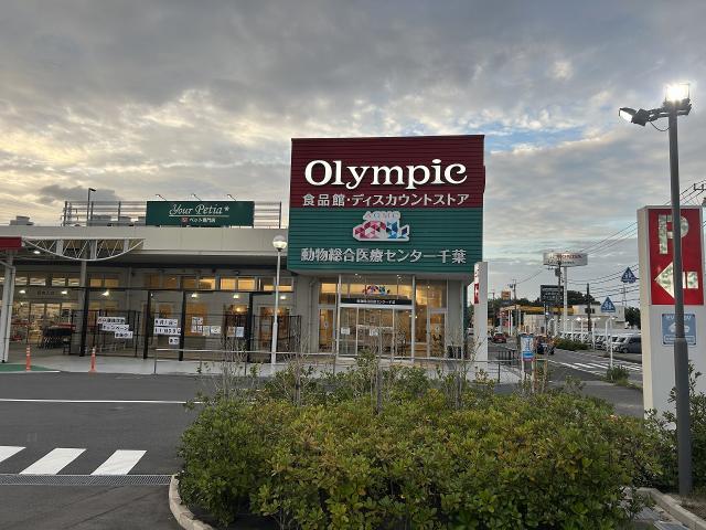 オリンピック千葉東店 1000m 寫真撮影日：2025-11-05