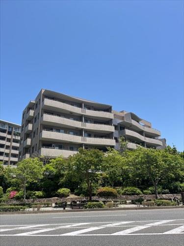 ２０２４年３月リフォーム済の３ＬＤＫ