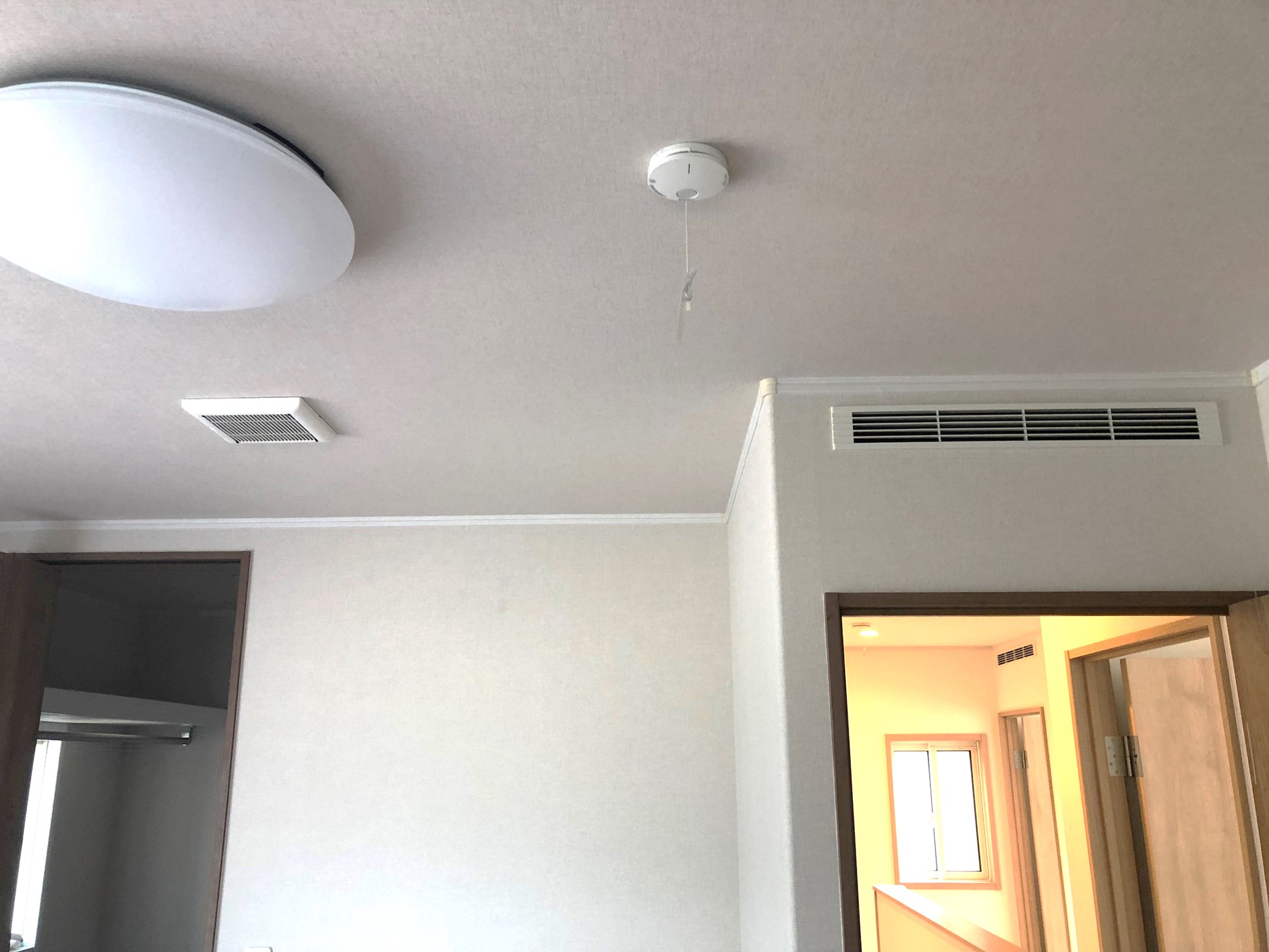 撮影年月：令和7年4月