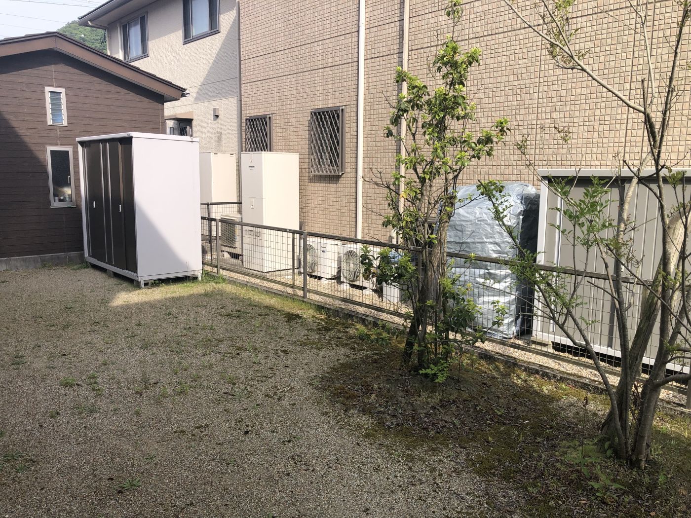 撮影年月：令和7年4月