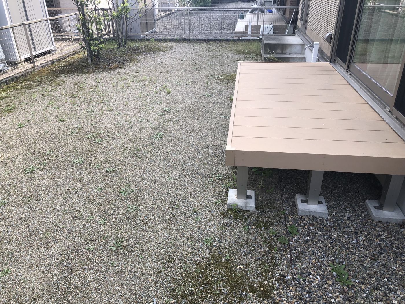 撮影年月：令和7年4月