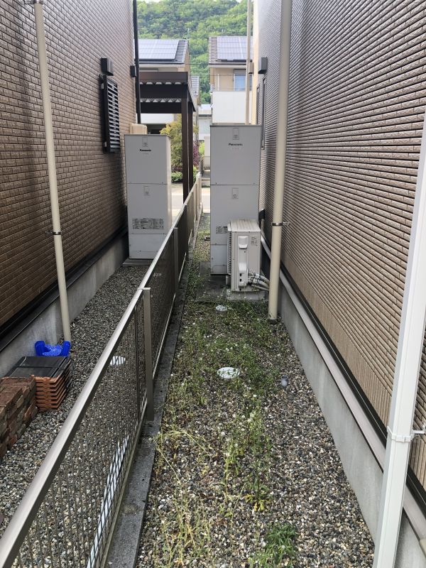 撮影年月：令和7年4月