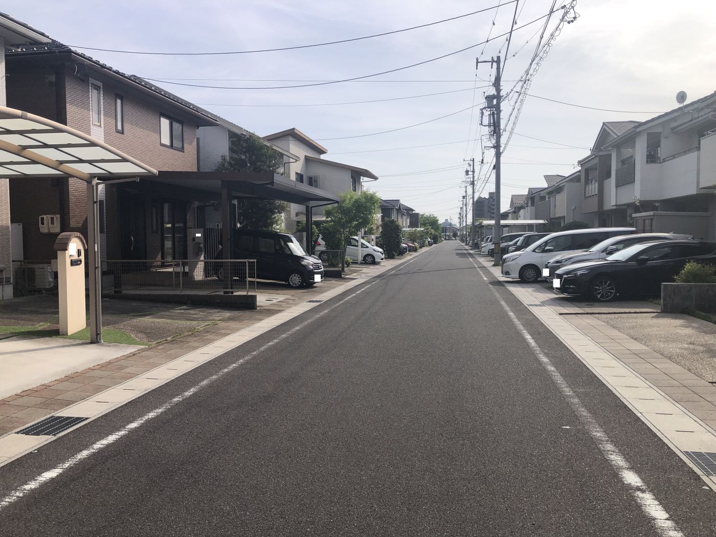 撮影年月：令和7年4月