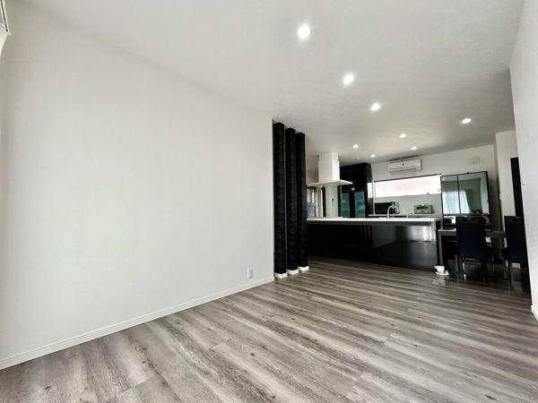 その他  寫真撮影日：2025-02-03