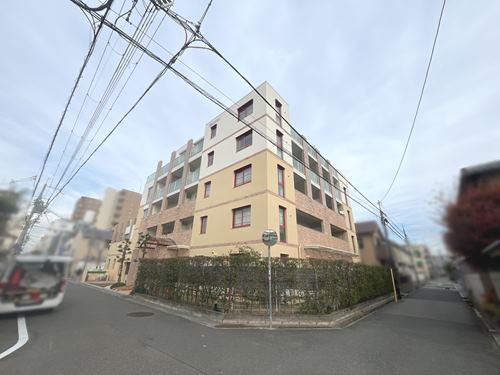 現(xiàn)地寫真（２０２４年１２月撮影）