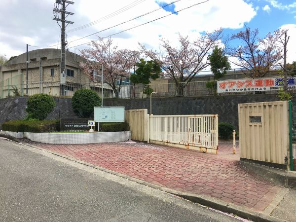 寶塚市立寶塚小學(xué)校 750m 寫真撮影日：2025-02-10 