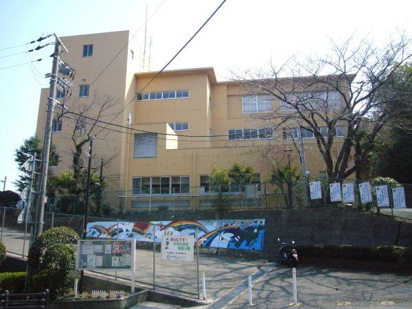 寶塚市立長尾臺小學校　 1000m 寫真撮影日：2024-11-14