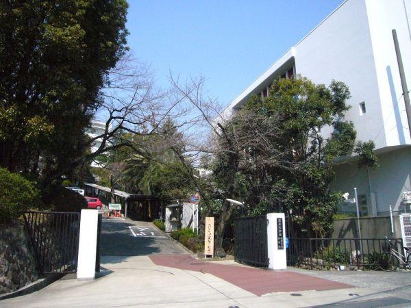 雲雀丘學園中學校?高等學校 750m 寫真撮影日：2024-11-14