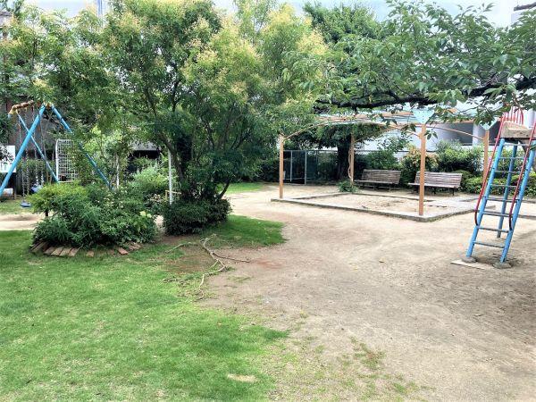 雲雀丘公園　 450m 寫真撮影日：2024-11-14