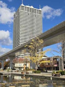 南向き　7階部分　陽當たり良好
