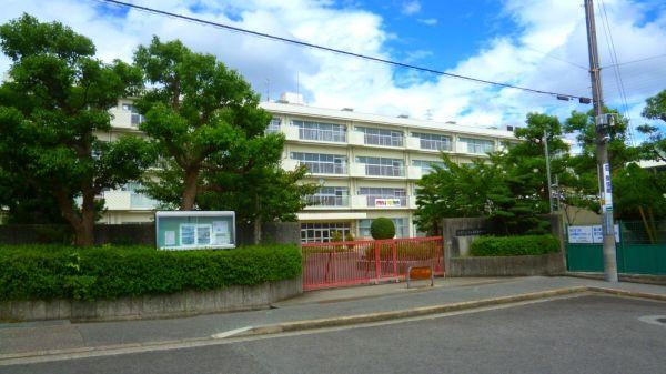 寶塚市立中山五月臺(tái)中學(xué)校 700m 寫真撮影日：2025-04-28