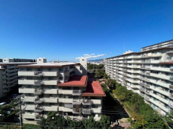 住戸からの眺望寫真  寫真撮影日：2025-01-20