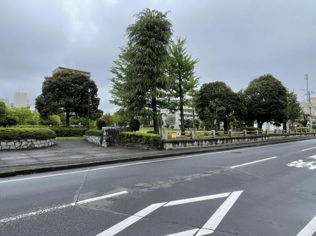 駅南平和公園 60m 寫真撮影日：2025-05-10