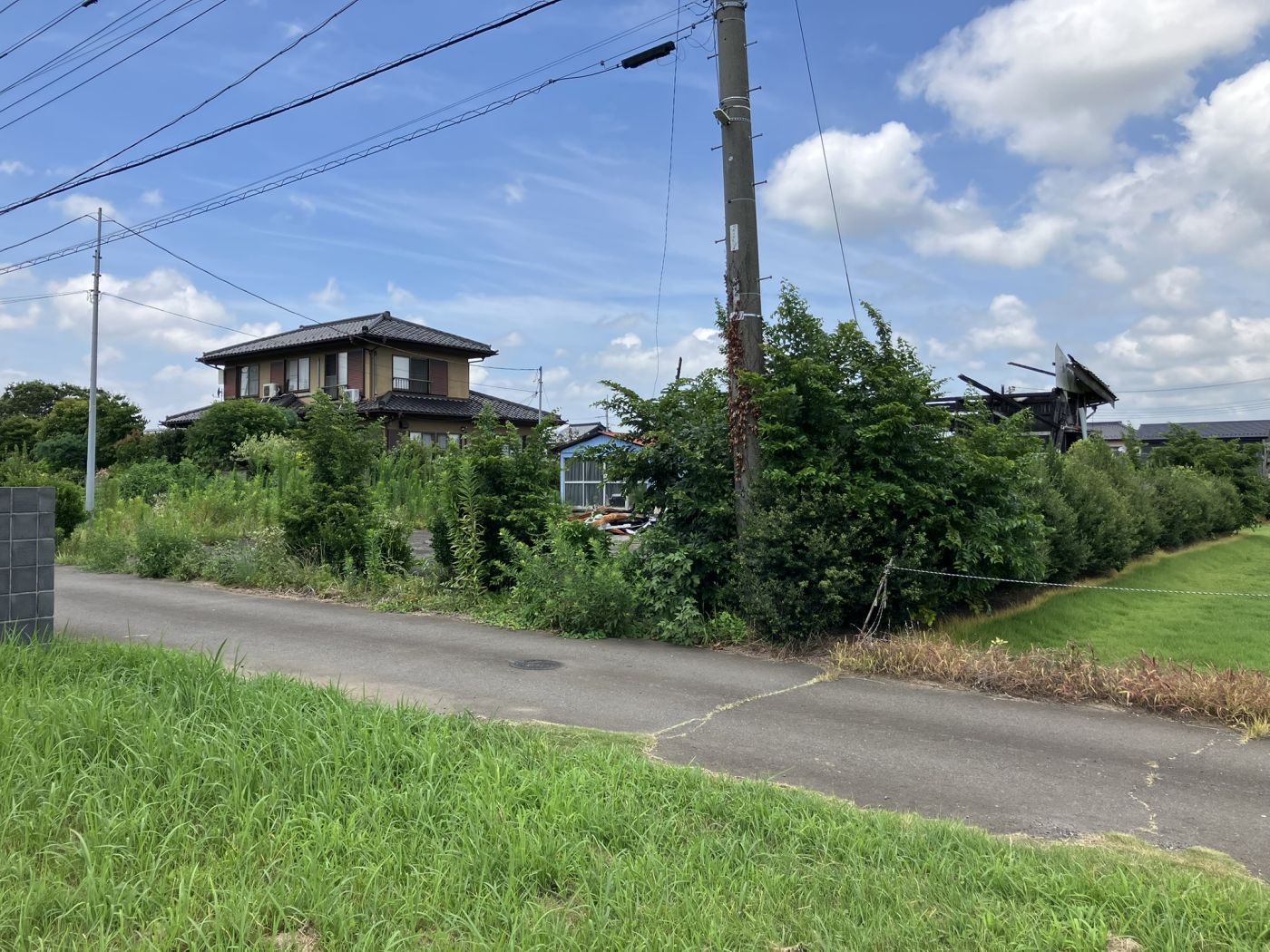 現(xiàn)地寫(xiě)真 寫(xiě)真撮影日：2025-07-13