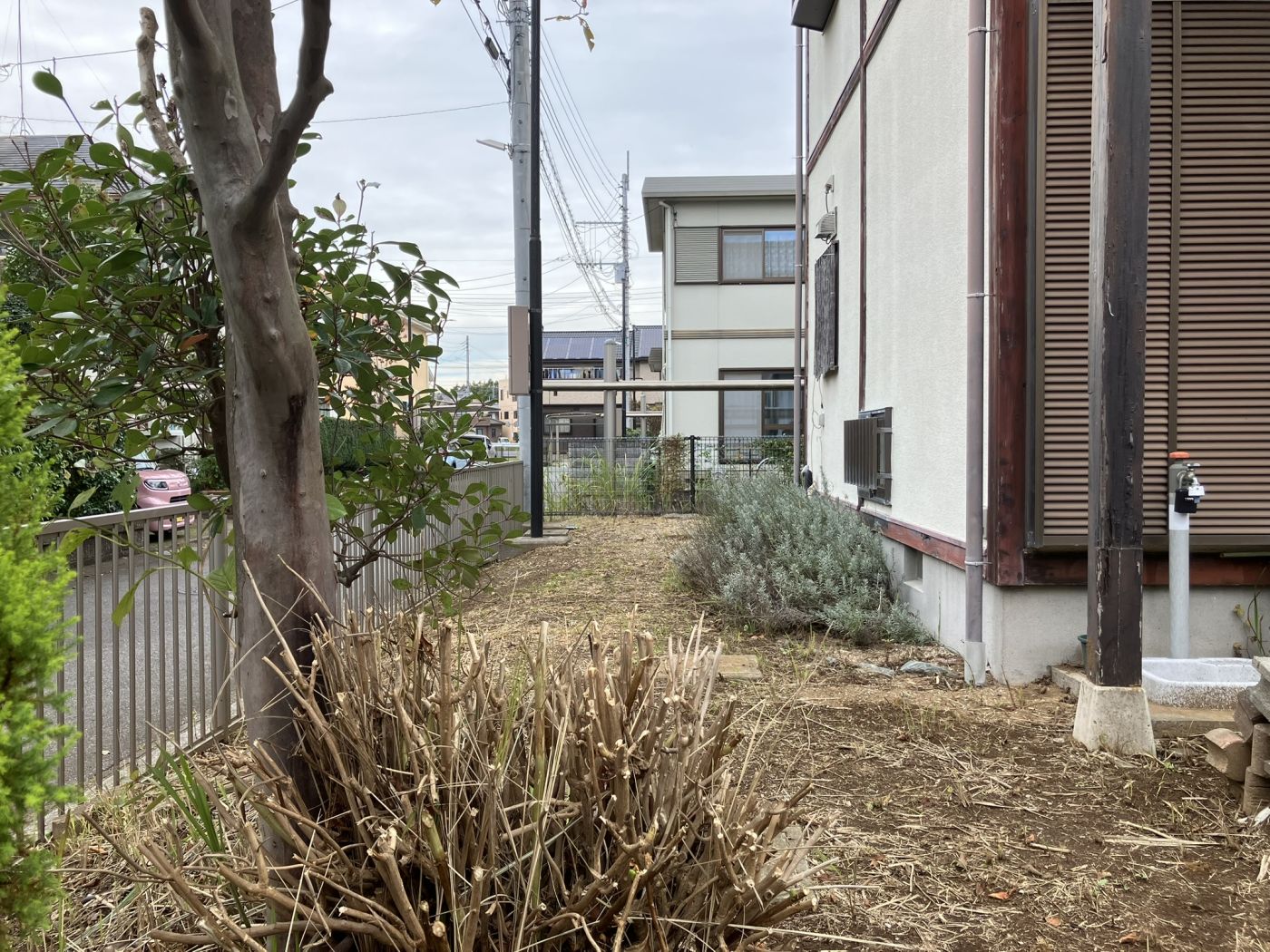 庭 寫真撮影日：10/24/25, 12:00?AM