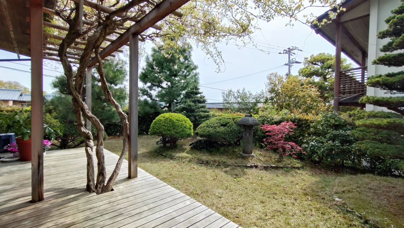 ２０２５年４月撮影