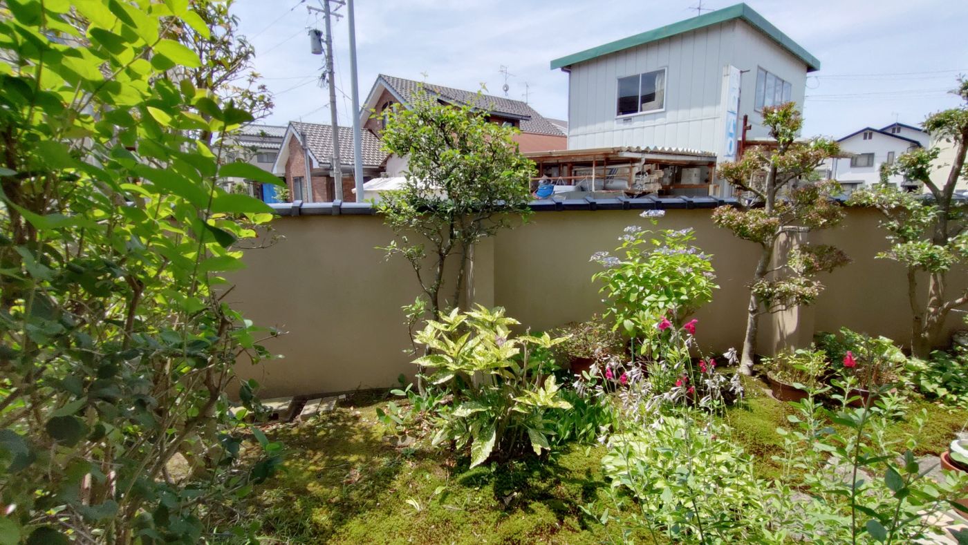 ２０２５年６月撮影