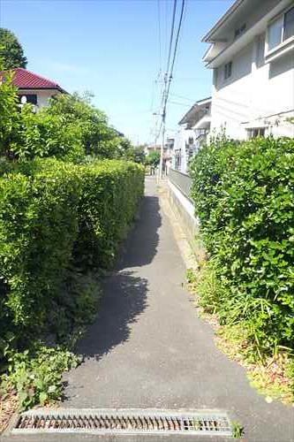 前面道路（２０２４年５月撮影）