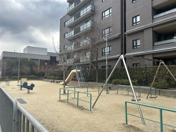 吉田河原公園 50m 寫真撮影日：2025-02-07 