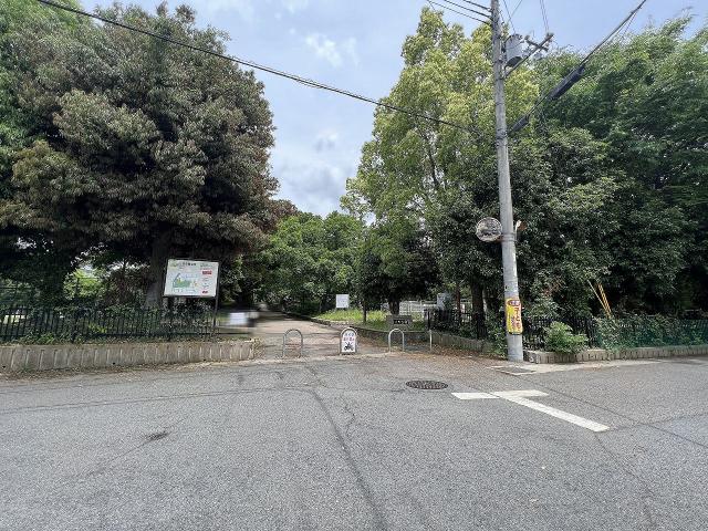 東野公園 217m 寫真撮影日：2025-08-01