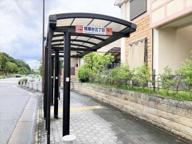 精華臺五丁目停 240m 寫真撮影日：2025-09-13