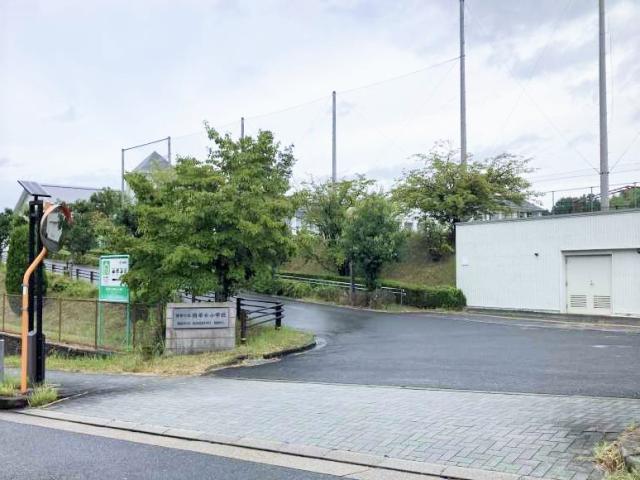 精華臺小學校 1200m 寫真撮影日：2025-09-13