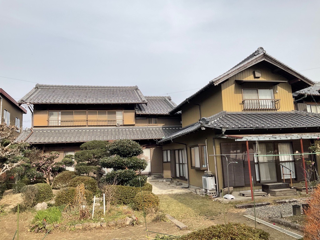 撮影年月：2025年1月