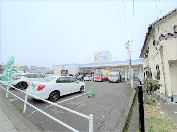 カワチ薬品　富沢店 270m 寫真撮影日：2024-12-22 