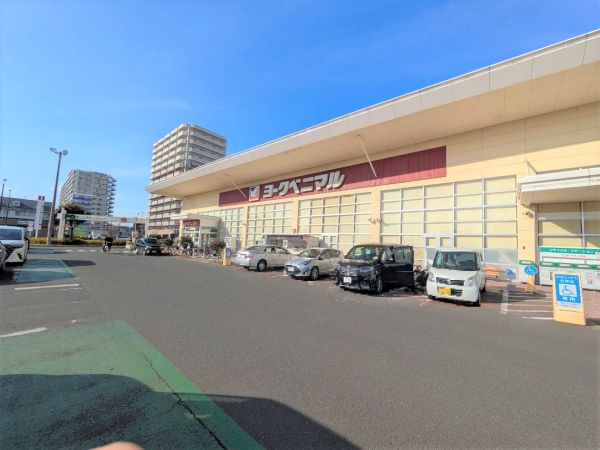 ヨークベニマル新田東店 540m 寫真撮影日：2025-02-02 