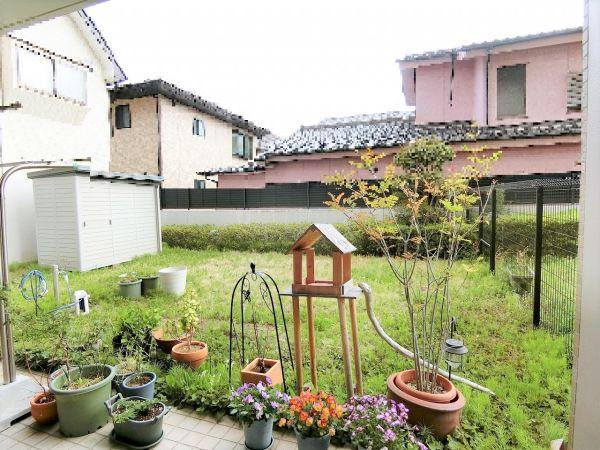 庭  寫真撮影日：2025-05-01