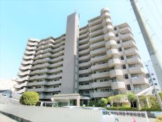 現(xiàn)地外観寫真  寫真撮影日：2025-05-08