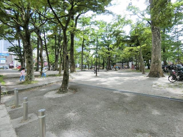 勝山公園 460m 寫真撮影日：2025-06-20