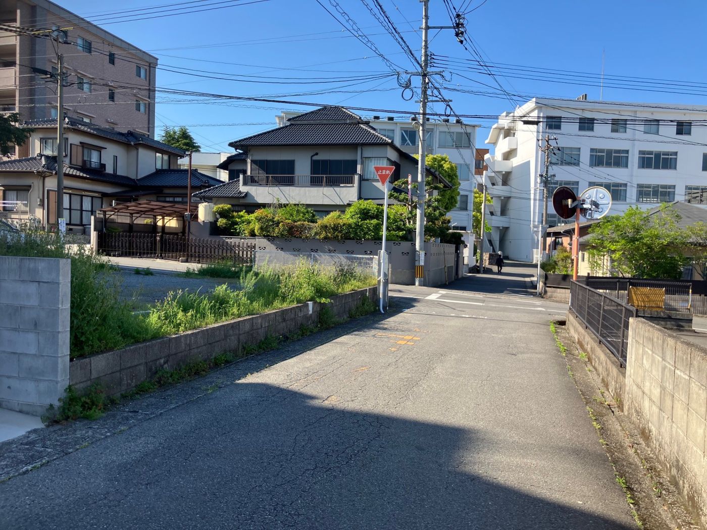 現地寫真 寫真撮影日：4/1/25, 12:00?AM