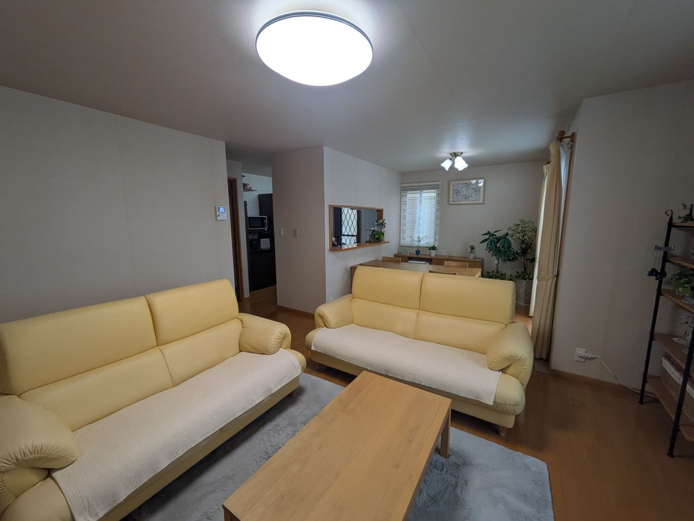 室內 寫真撮影日：6/1/25, 12:00?AM