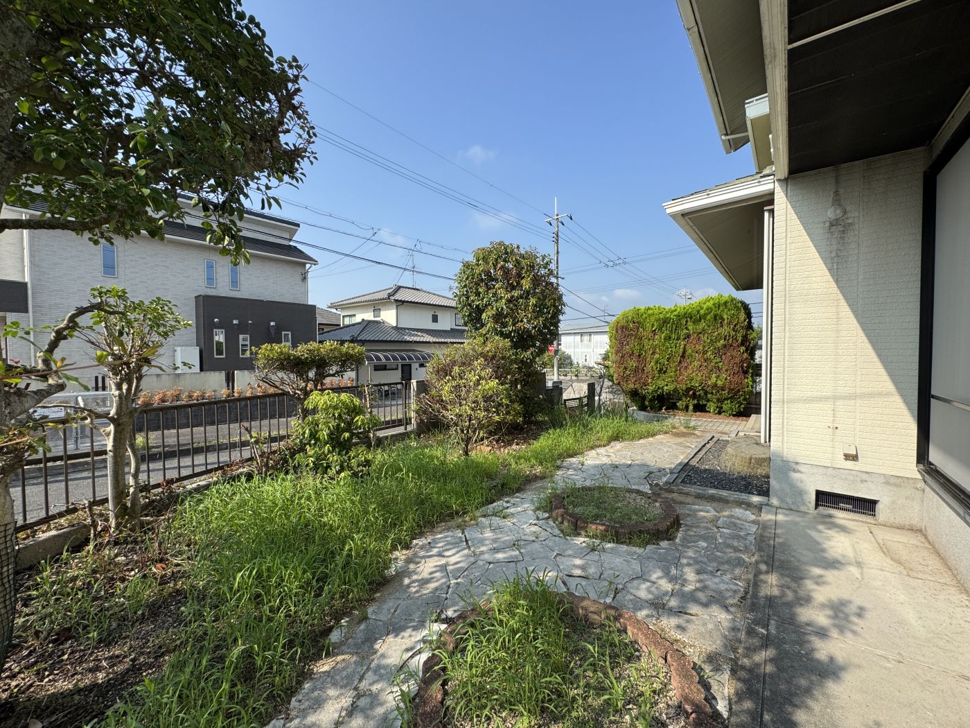 庭② 寫真撮影日：8/31/25, 12:00?AM