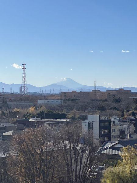 南側バルコニーからの眺望（富士山をご覧いただける場合がございます）