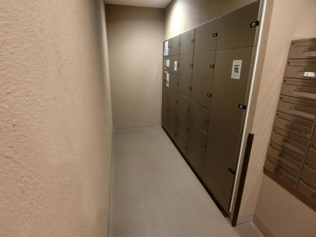 その他  寫真撮影日：2025-09-14