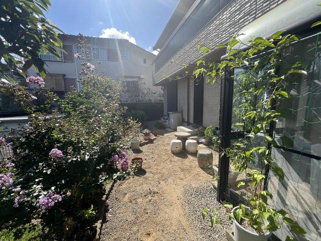 庭  寫真撮影日：2025-09-19
