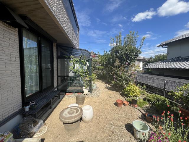 庭  寫真撮影日：2025-09-19