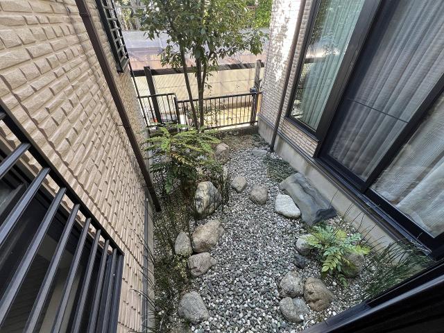 庭  寫真撮影日：2025-09-19