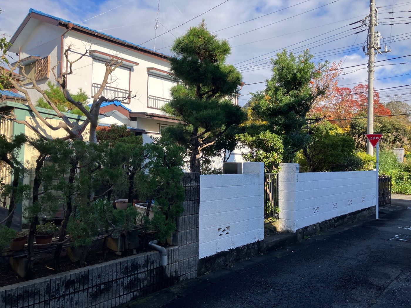 現(xiàn)地寫真（2024年11月撮影）