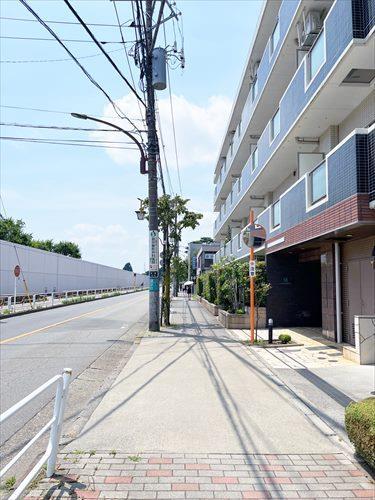 現地前面道路