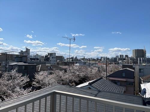 屋上からの眺望（２０２５年４月撮影）