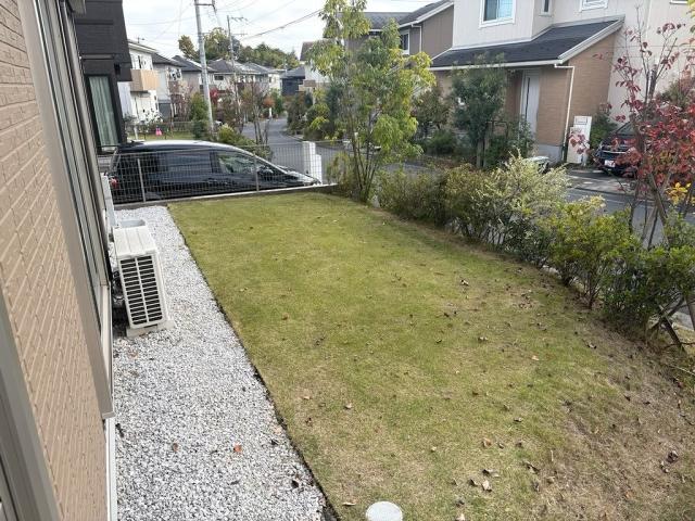 庭  寫真撮影日：2025-11-12