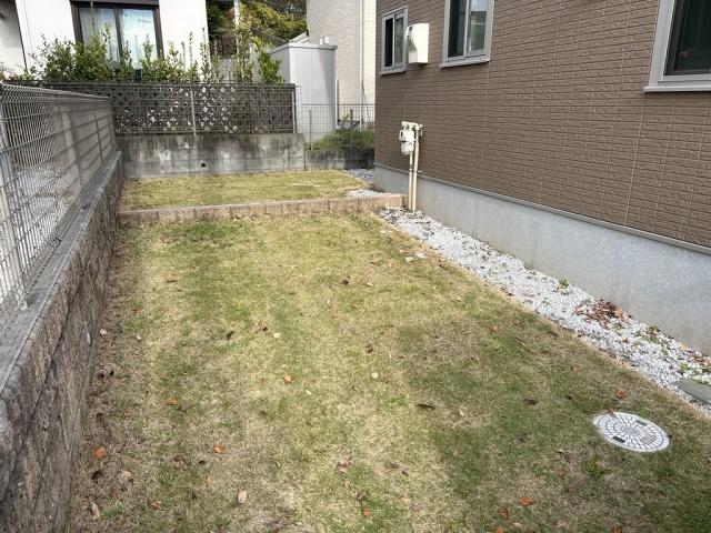 庭  寫真撮影日：2025-11-12